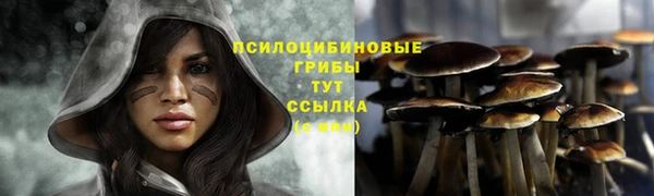 ALPHA PVP Алексин
