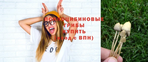 кокс Арсеньев