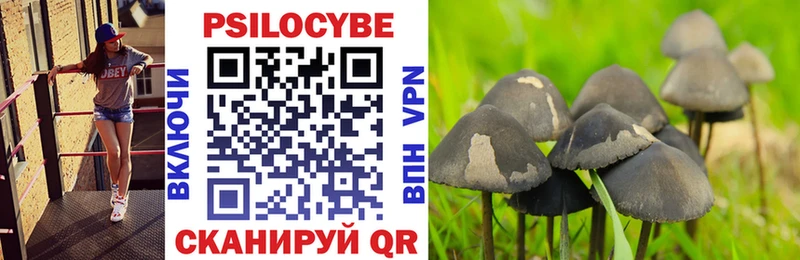 Галлюциногенные грибы мицелий  купить  сайты  Карачев 